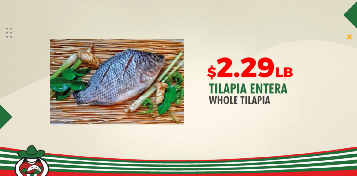 Tilapia Filet